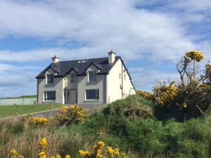 a house on the side of a hill with flowers at Robins Nest in Ardara