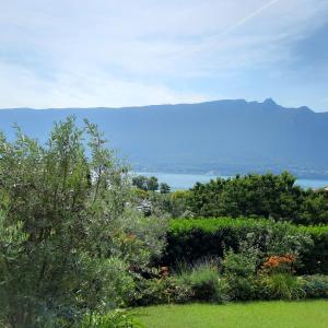 ogród z widokiem na wodę i góry w obiekcie Le Lac w mieście Tresserves