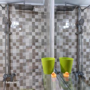 dois baldes verdes numa prateleira de vidro num chuveiro em Apartman PAVLE em Plužine