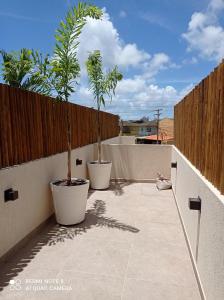 two palm trees in pots on a patio at Loft Encantador, a beira mar! in Salvador