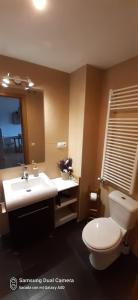 a bathroom with a toilet and a sink and a mirror at Apartamento boutique in Talarn +12 photos