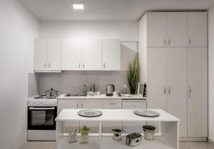 a kitchen with white cabinets and a white counter top at Betty's DP Studio in Litochoro