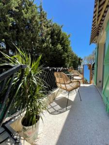 a patio with a chair and a potted plant at Superbe studio à Juan les pins in Juan-les-Pins