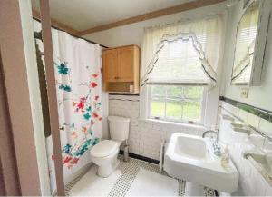 a bathroom with a toilet and a sink and a window at Home Sweet Home Suite #1, near Liberty University, and Lynchburg Hospital, Deluxe Queen Size Bedroom in Lynchburg