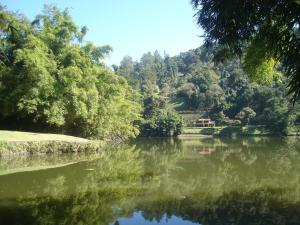 vistas a un río con árboles en el fondo en Terracota Hotel, en Itaipava