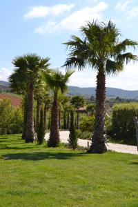 a row of palm trees in a park at MountView in Alenquer