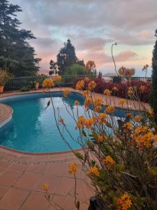a swimming pool in a garden with flowers at Villa Torres in Los Llanos de Aridane