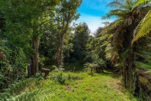 a path through a forest with palm trees at Charming Hideaway in Taupo