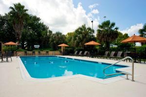 a large swimming pool with chairs and umbrellas at Fairfield Inn & Suites by Marriott Valdosta in Valdosta