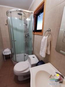 a bathroom with a shower and a toilet and a sink at Cabañas Bordenieve in Las Trancas