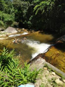 a group of people swimming in a river at Casa do Cedro - Sítio Cascatinha in Cruzeiro