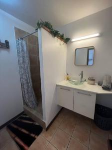 een badkamer met een douche en een wastafel bij Cocooning Orava a Papeete in Papeete