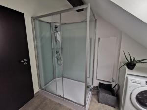 Koupelna v ubytování Skyline klimatisierte Dachgeschoss-Wohnung in Dornbirn mit Blick ins Rheintal