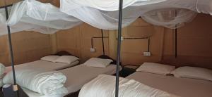 grupa czterech łóżek w pokoju w obiekcie Bardia hostel w mieście Bhurkīā