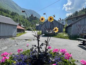 Nespecifikovaný výhled na hory nebo výhled na hory při pohledu z bed and breakfast