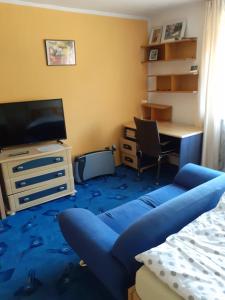 Televisor o centre d'entreteniment de RD Černčín Bučovice