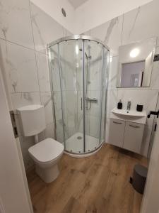 a bathroom with a shower and a toilet and a sink at Apartma Koper2 with parking in Koper
