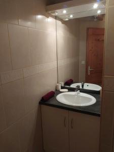 ein Bad mit einem Waschbecken und einem Spiegel in der Unterkunft Equi'val in Le Tholy