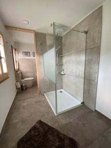 a bathroom with a shower with a glass door at GartenFerienhaus "AnnaLuise" in Schönau im Schwarzwald