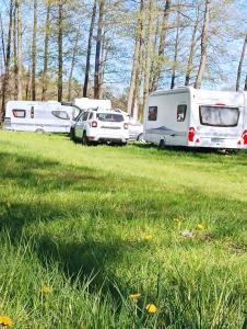 a group of vehicles parked in a grass field at Pole namiotowe - namiot do wynajęcia - Kurka Wodna !!! in Mikołajki +7 photos