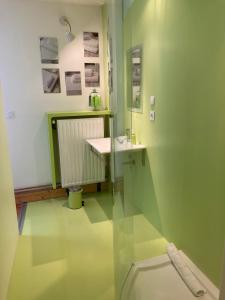 ein Badezimmer mit einem Waschbecken und einer Glaswand in der Unterkunft CHAMBRES D'HÔTES LA MADELEINE in Vienne-le-Château