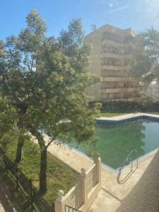 une piscine avec un arbre et un bâtiment dans l'établissement Estudio a 50m de la playa, à Matalascañas