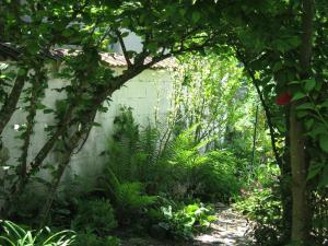 einen Garten mit grünen Pflanzen und einer Wand in der Unterkunft CHAMBRES D'HÔTES LA MADELEINE in Vienne-le-Château