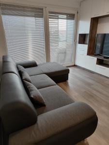 a living room with two couches and a television at Family apartment Moravske Toplice in Moravske Toplice