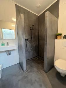 a bathroom with a shower with a toilet and a sink at B&B Sloterpark in Amsterdam