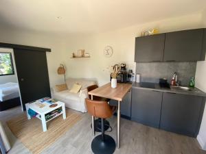 Kuchnia lub aneks kuchenny w obiekcie Le studio de la Noire Choque - Bain nordique
