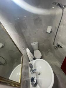 ein Badezimmer mit einem Waschbecken, einem WC und einem Spiegel in der Unterkunft Blue Topas Otel in Burhaniye