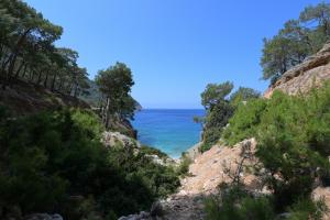 Gallery image of Pavlonya Bungalows in Mugla