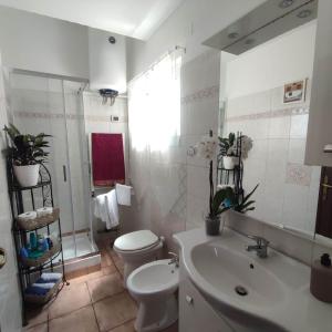 uma casa de banho com um WC, um lavatório e um espelho. em Attico Centrale Ostia 20 em Lido di Ostia
