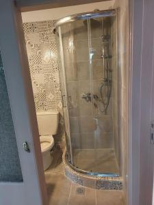 La salle de bains est pourvue d'une douche et de toilettes. dans l'établissement Persefoni's Home, à Ioannina