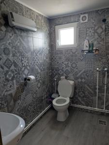 ein Bad mit einem WC, einem Waschbecken und einem Fenster in der Unterkunft DOBRA GAZDA - transit sleep in Dobra
