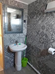 ein Bad mit einem Waschbecken und einem Spiegel in der Unterkunft DOBRA GAZDA - transit sleep in Dobra