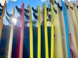 a bunch of surfboards lined up against a wall at SURF HOUSE DREAMERS COAST in Klaipėda