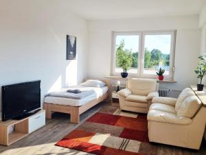 sala de estar con sofá y TV en Fully equipped Cozy Apartment en Hanau am Main