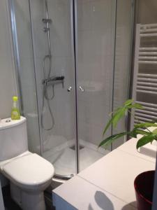 W łazience znajduje się toaleta i przeszklony prysznic. w obiekcie Porte Maillot-Charming and calm studio at Neuilly w mieście Neuilly-sur-Seine