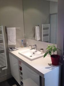 ein Badezimmer mit einem Waschbecken und einer Topfpflanze in der Unterkunft Porte Maillot-Charming and calm studio at Neuilly in Neuilly-sur-Seine