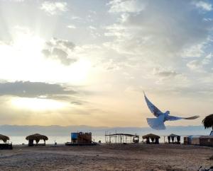 a bird flying over a beach with the sun in the sky at Al Khalil Beach Camp in Nuweiba