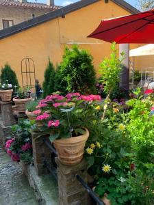 einen Garten mit Topfpflanzen und Blumen vor einem Gebäude in der Unterkunft Ferienhaus, Rustico Auf Burg in Locarno