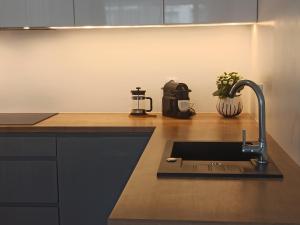 Kuchyňa alebo kuchynka v ubytovaní Apartament CENTRUM/STARÓWKA Gdańsk