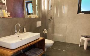 ein Bad mit einem Waschbecken, einem WC und einer Dusche in der Unterkunft TS Apartments in Traunstein