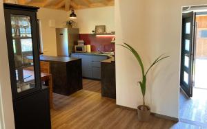 Kuchyň nebo kuchyňský kout v ubytování TS Apartments