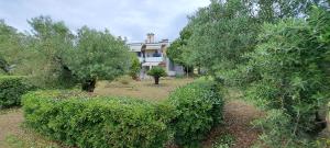 una vista aérea de una casa con árboles delante de ella en Villa Gerakina, en Gerakini