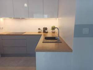 Kuchyňa alebo kuchynka v ubytovaní Apartament CENTRUM/STARÓWKA Gdańsk