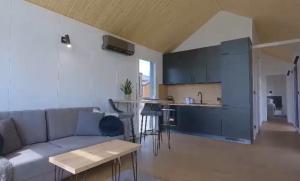 een woonkamer met een bank en een keuken bij Tiny House EMH Peterswald 