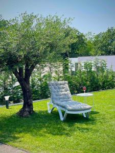 a chair sitting in the grass next to a tree at Villa Destiny Nedescina, Istrien, Kroatien in Nedeščina