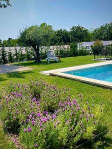 um jardim com flores roxas ao lado de uma piscina em Villa Destiny Nedescina, Istrien, Kroatien em Nedeščina